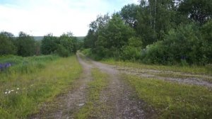 Поселок Талый (Кизел). Александровский район. Пермский край. Июль 2019.