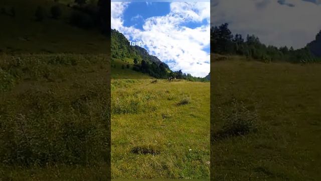 ДАГЕСТАН 2022г. Тлярата / Тохота. Дикая и нетронутая природа.