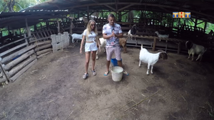 Дом 2 Остров любви, 1 сезон, 416 серия (14.11.2017)