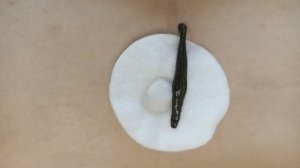 Первые постановки пиявки