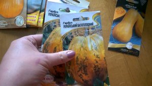 ТЫКВА. СЛАДКИЕ СОРТА ТЫКВЫ. Что Посадить На Огороде 2019. ГАРБУЗ