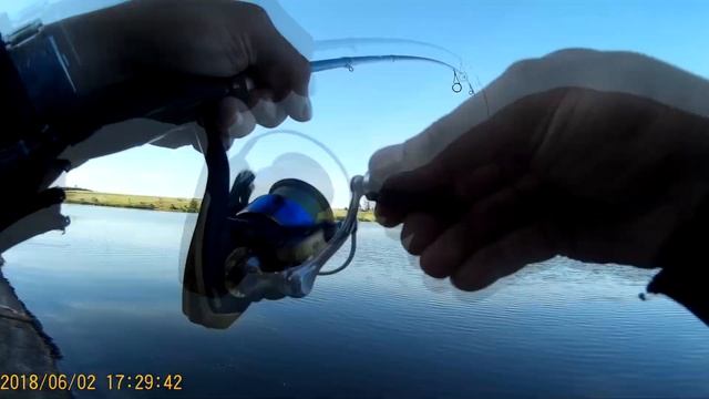 Дикий клев судака летом 2018 смотреть онлайн