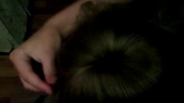 Шишка с помощью бублика смотреть онлайн