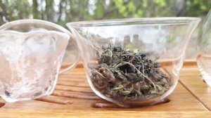 Алтайский иван-чай