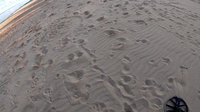 Раскопки на диком пляже. Поднятие самолета . Коп 2019.