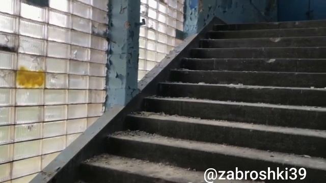 Что скрывает заброшенная школа Адольфа Гитлера в Калининградской области?