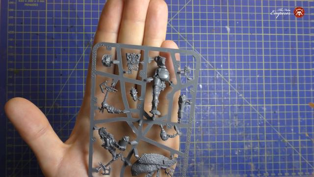Анбоксинг - Stormcast Eternals Neave Blacktalon