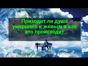 Может ли душа умершего приходить в гости — Видят ли нас умершие