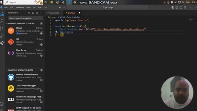 JavaScript async await function |How to call api using Async await