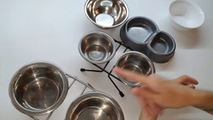Как выбрать миску для собаки?