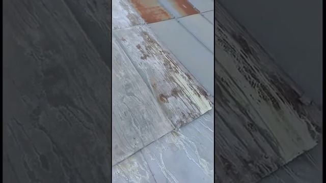Антикор с леомакс испытания на железной крыши