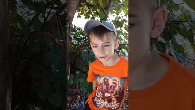 Какие места в моей базе есть смотреть онлайн