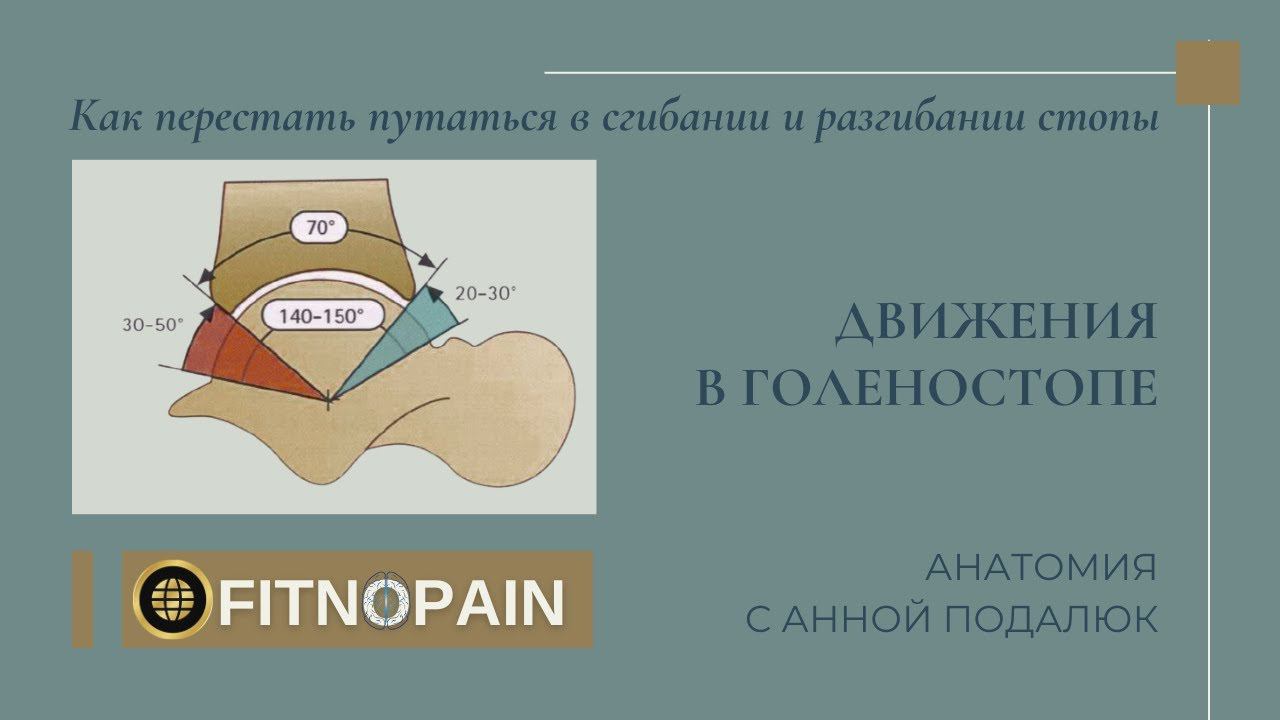 Движения в голеностопном суставе: плантарфлексия и дорсифлексия #shorts #анатомия #стопы #методика