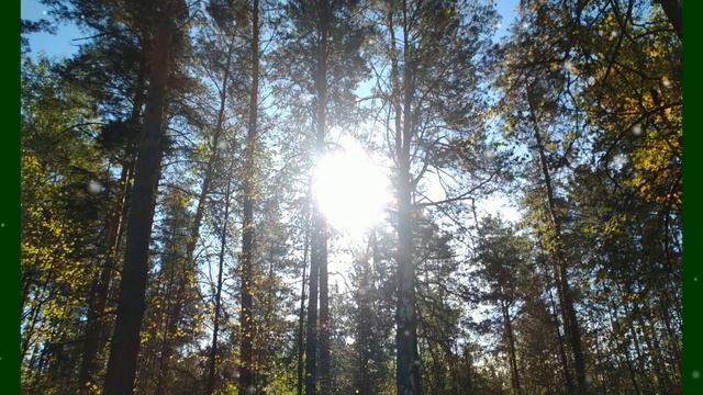 СНЫ-ПРОКУРОРЫ смотреть онлайн