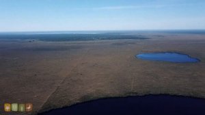Заповедная Россия. Край болот - Полистовский заповедник с высоты птичьего полёта