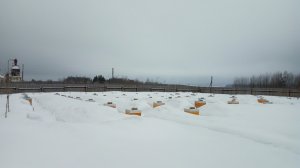 4 часть обзора работ с пчёлами зимой 23.02.2022 . Моё пчеловождение .