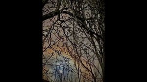 Свидетельство о смерти - Петля (Slowed+Reverb)