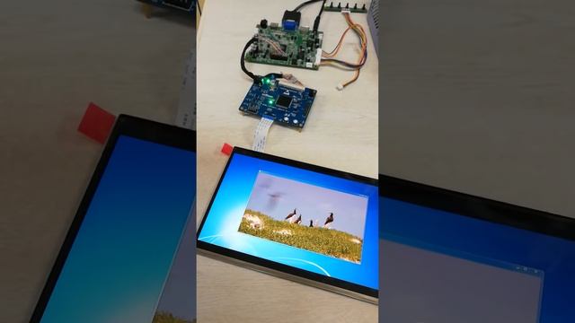 MIPI 1080P DEMO смотреть онлайн