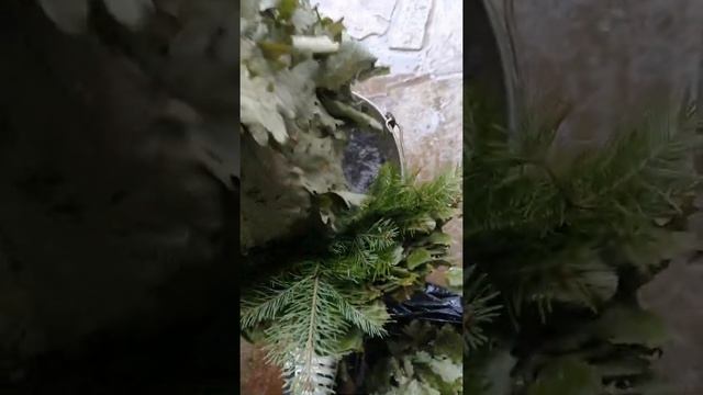 КАК ЗАПАРИТЬ ВЕНИК смотреть онлайн