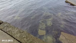 Туапсе. Пляж старой турбазы. Московских строителей.