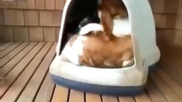 В тесноте, да не в обиде! смотреть онлайн