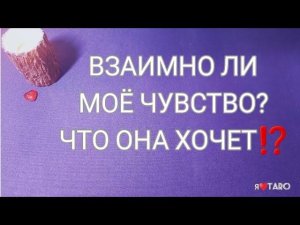 ВЗАИМНО ЛИ МОЁ ЧУВСТВО⁉️♥️ Что она хочет⁉️ | ТАРО для мужчин