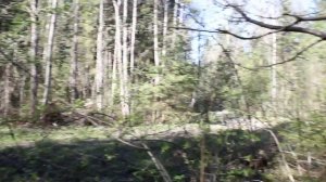 Кузнецовское озеро