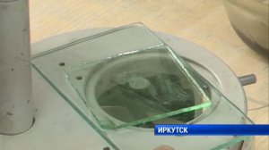 Бычий цепень в мясе