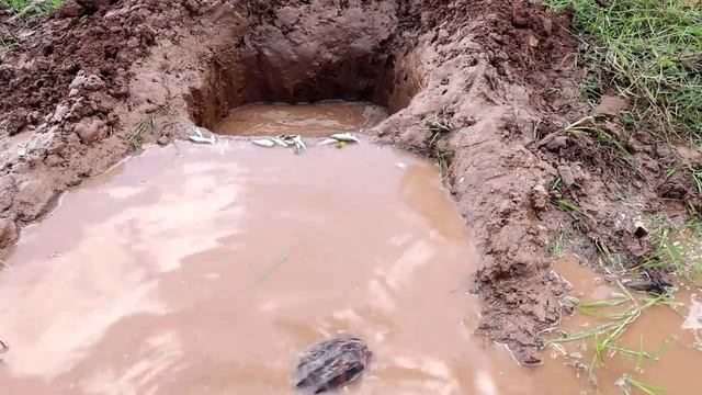 Creative DIY Underground Hole Fish
