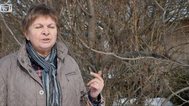 Обрезка деревьев весной ? Как правильно провести обрезку?