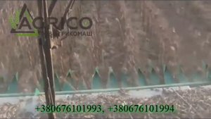 Купить жатку для подсолнечника Мега, Вектор цена