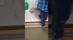Makita UD 2500 , садовый измельчитель. первый запуск