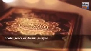 Шейх Халид ар Рашид
Благой нрав.