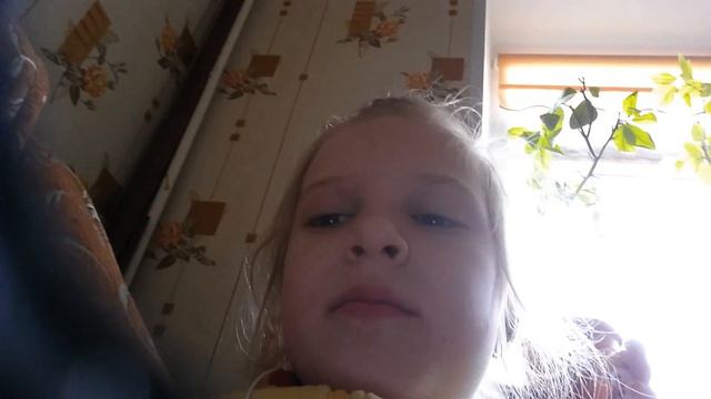 Играйте в симулятор кошки смотреть онлайн