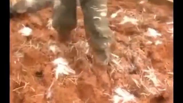 Экологический каркасный саманный дом с использованием бамбука с нуля до финиша смотреть онлайн