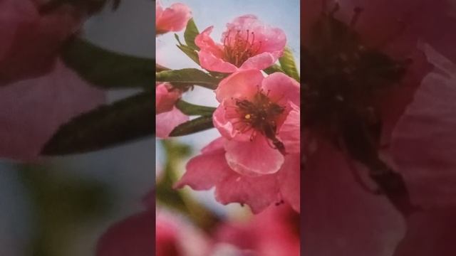 Притча о Мудрых Родителях и Достойных Детях, родители, дети, ребёнок, мама, папа, мать, отец