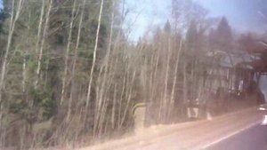 Лесная местность на трассе между Талдомом и Дмитровским шоссе