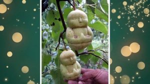 10 Самых Дорогих Фруктов в Мире