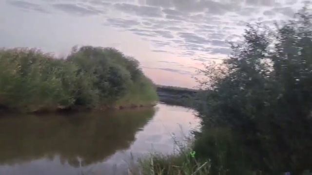 Ночной ЯЗЬ пойман/рыбалка с ночевкой на реке Нура/жарим язя | Amazing Fish Catching In River