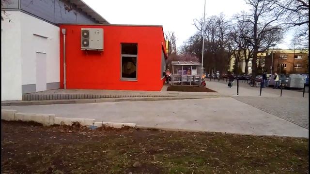 Японская сакура в Берлине /Германия смотреть онлайн