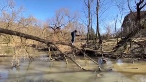 PINQ перебирается через реку по дереву