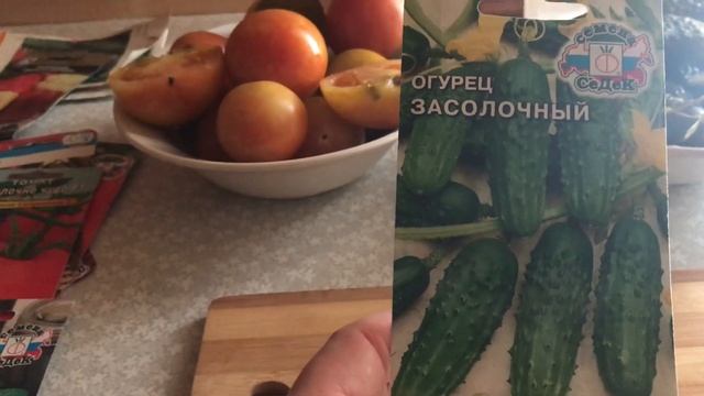 Лучшие сорта помидор для засолки в бочку.Сорта огурцов для засолки в бочку