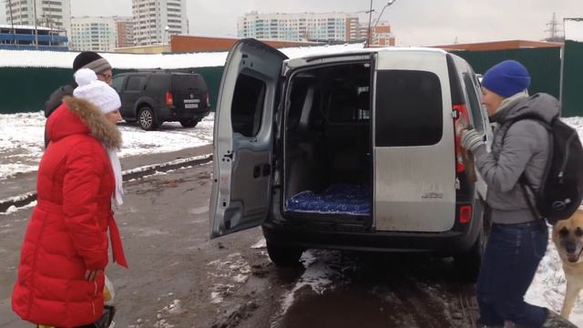 Бостон Едет Домой Из Приюта В Щербинке #Собакикоторыелюбят