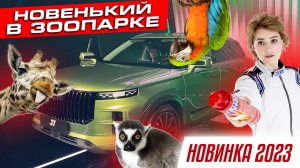Конкурент HAVAL! | JAECOO J7 обзор