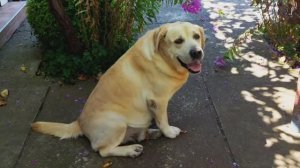 Обзор нашего дома на юге купленного удаленно. К чему мы приехали.