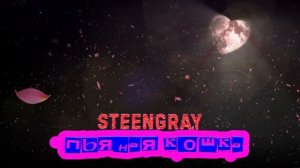 STEENGRAY -  Пьяная кошка.mp4
