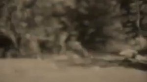 Гражданская Оборона Радуга