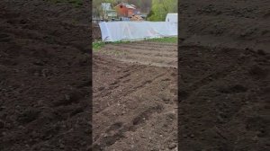 Культивация мотоблоком Huter MK8000 BIG FOOT