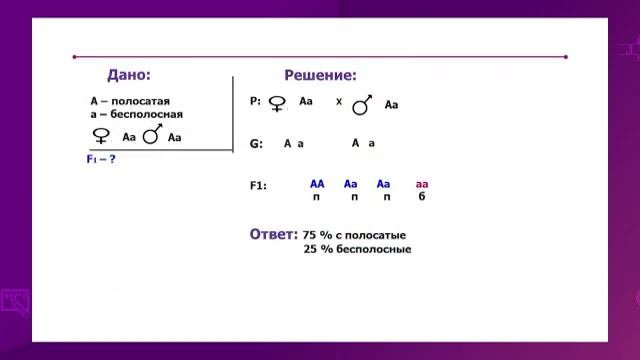 Биология. 9 класс. Моногибридное скрещивание. Закон доминирования /05.02.2021/ смотреть онлайн