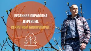Весенняя обработка деревьев. Секретный биопрепарат от агронома Владимира Епишенкова.